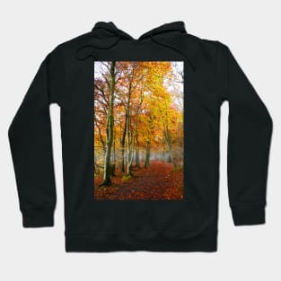 Cotswolds Way, Westridge Woods Hoodie